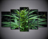 Tableau Cannabis <br> Feuille de Weed