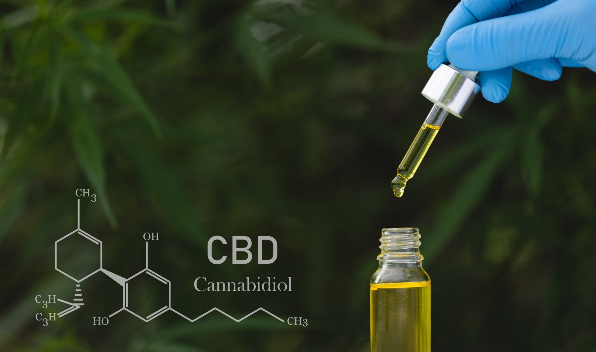 Comment intégrer efficacement le CBD à votre art de vivre ?