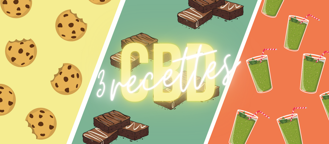 3 recettes au CBD : Cookies au CBD, Space Cake et Smoothie au CBD