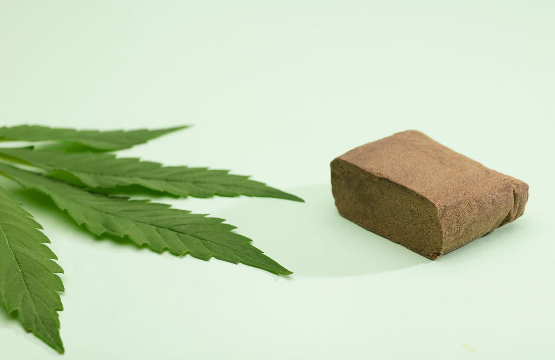 Pourquoi la résine CBD est-elle l’un des produits les plus appréciés ?