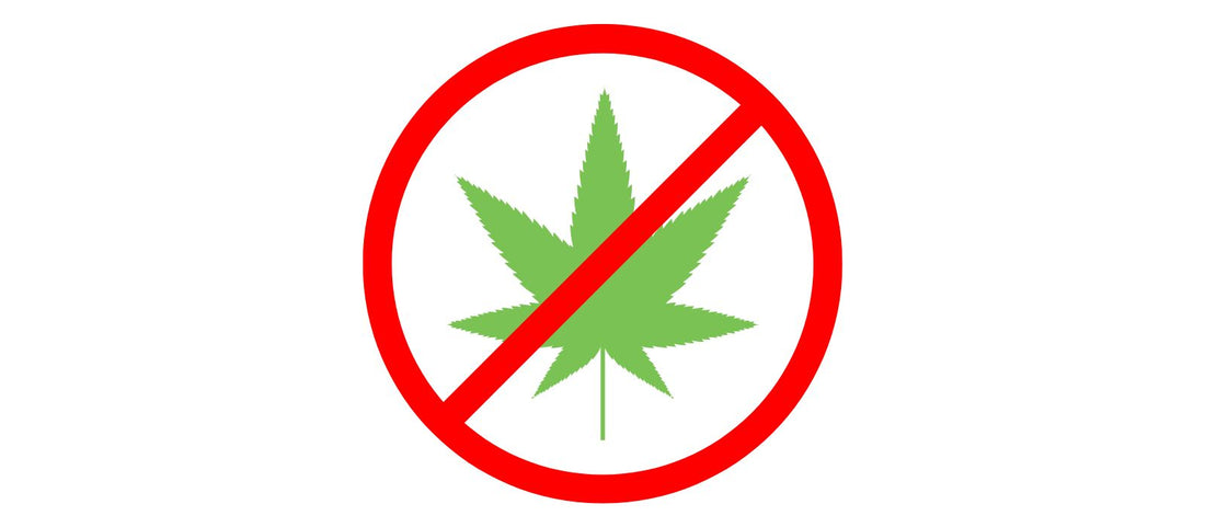 Cannabis interdit