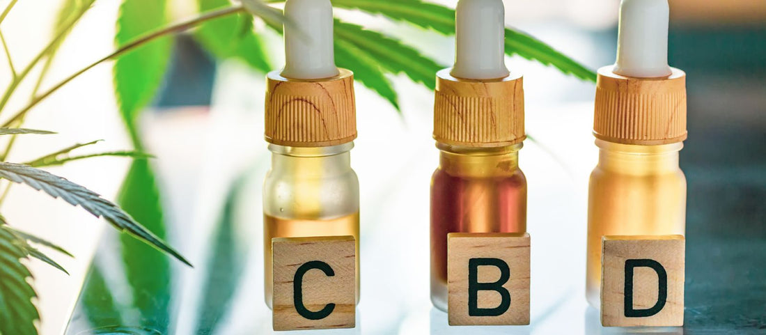 Top 10 des Meilleurs Sites CBD en France