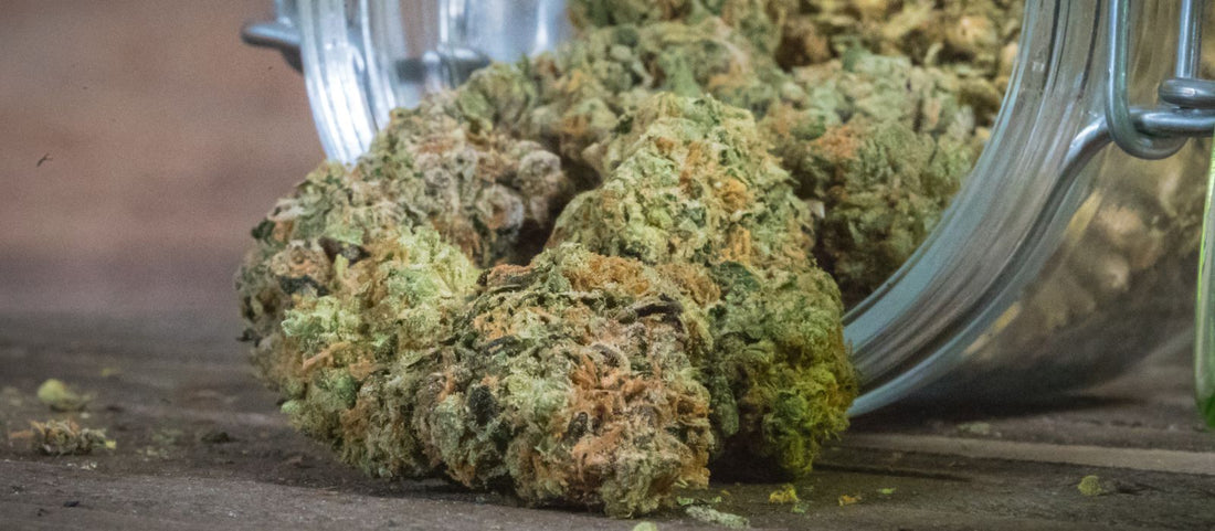 Comment choisir sur quel site commander du cbd ?