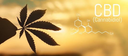 Comment consommer du CBD ?