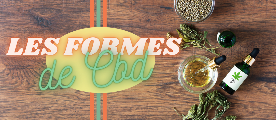 Les différentes formes de CBD : lequel choisir ?