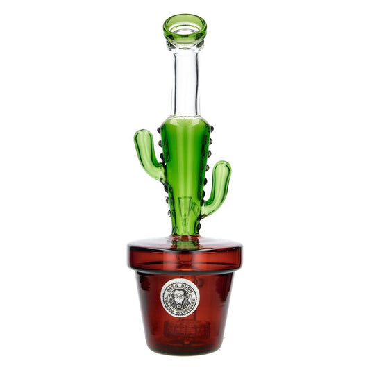 Bang Cactus