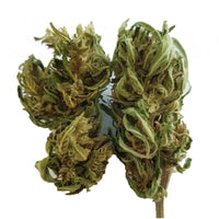 cbd fedtonic
