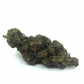 Fleur Amnesia