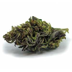 Fleur cbd made in france