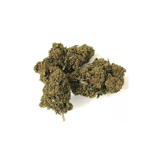 cbd big bud 