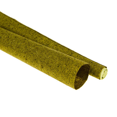 Feuille blunt chanvre