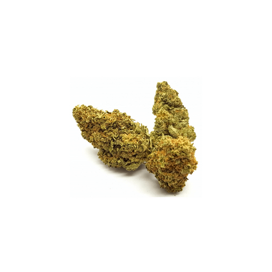 cbd cannabulbe
