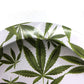Cendrier <br> Feuille de Weed