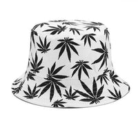 Bob Cannabis <br> Feuilles Noires