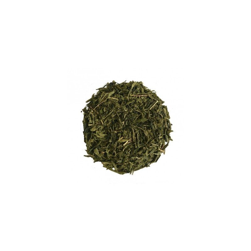 Thé Vert Sencha CBD